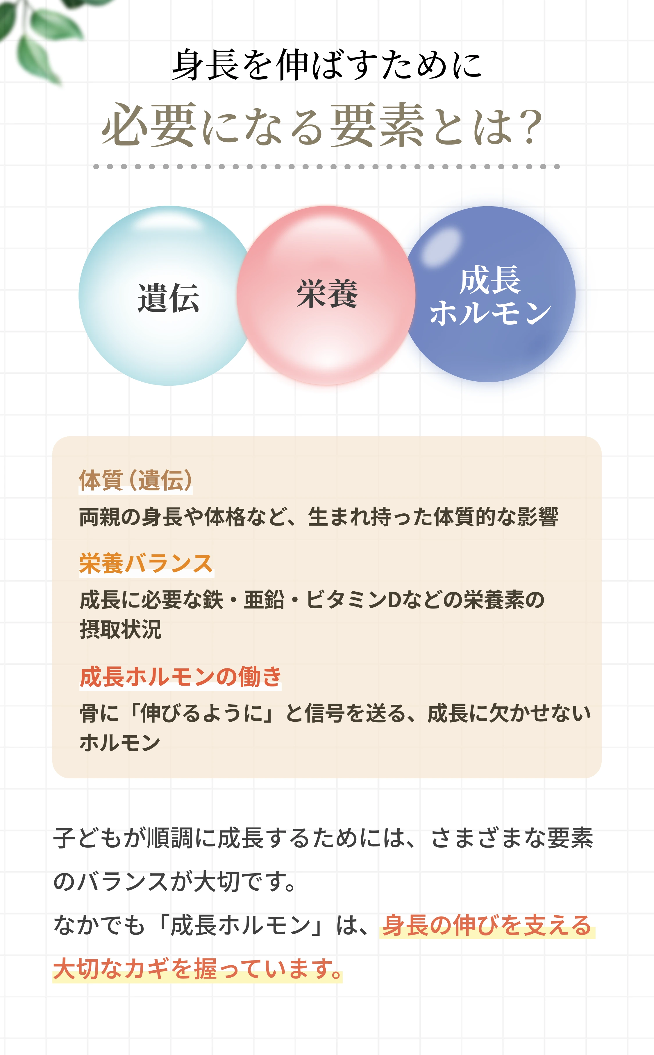 低身長治療のご案内 6